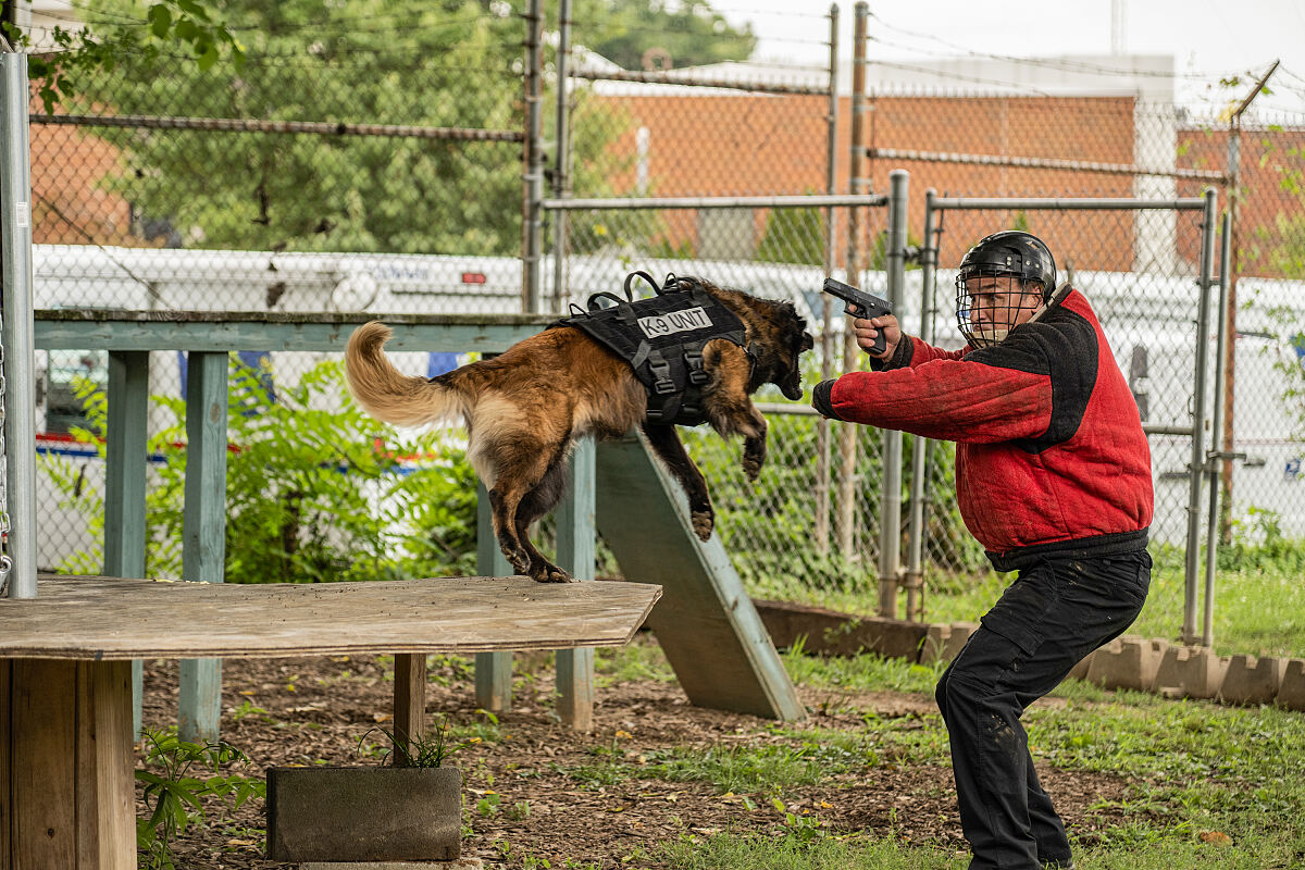 Muzzle K9