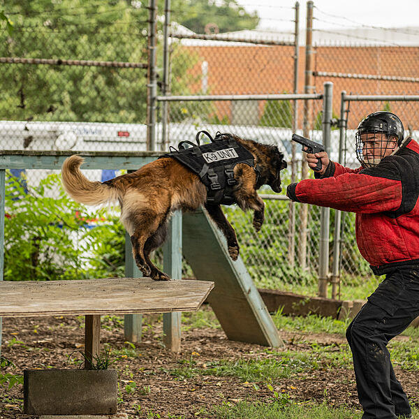 Muzzle K9