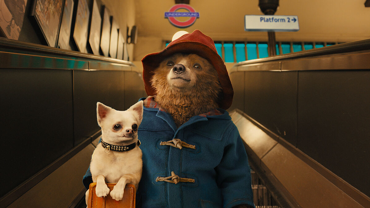 Paddington 1 Still